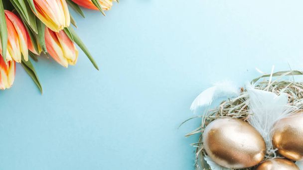 Easter eggs gold. Golden colour egg in basket with spring tulips, white feathers on pastel blue background in Happy Easter decoration. Congratulatory easter design. Flat lay, top view - Photo, Image