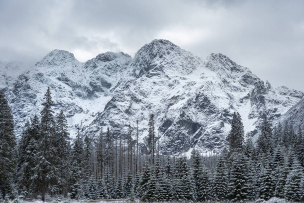 Bilder auf Postkarten in Form von schneebedeckten Berggipfeln vor dem Hintergrund des Sees in der polnischen Hohen Tatra - Foto, Bild
