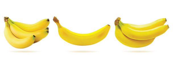 čerstvé banánové ovoce izolované na bílém pozadí. realistický vektor ilustrace - Vektor, obrázek