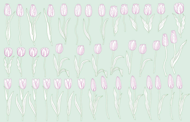 Flores de tulipa de fantasia, folhas com contorno de cor pastel. Conjunto de elementos florais desenhados à mão sobre um fundo verde.  - Vetor, Imagem