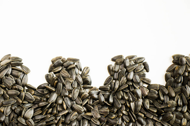 Sementes de girassol close-up e macro no fundo branco, grande grupo de sementes, visão de alto ângulo - Foto, Imagem