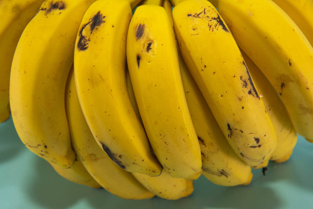 Manojo de plátanos maduros listos para el consumo sobre fondo azul. Fuente alimenticia de calcio y potasio. El plátano es una de las frutas más conocidas del mundo y pertenece a la familia Musaceae.. - Foto, Imagen