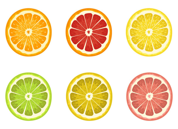 白を基調とした柑橘系のベクターデザインイラストのセット - ベクター画像