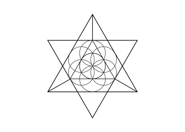 Flower of Life symbol Metatron Merkaba Sacred Geometry. Logo icon Geometric mystic mandala of alchemy esoteric Seed of life. Vector black tattoo divine meditative amulet isolated on white background - Vector, Image