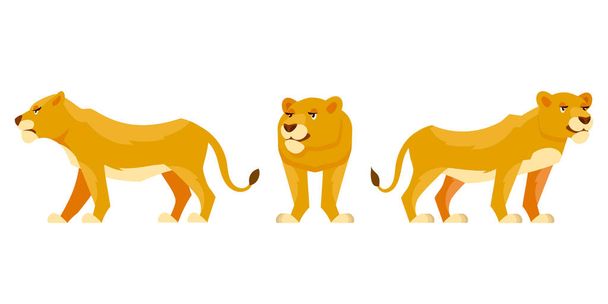 Lioness in different poses. - Vector, Image