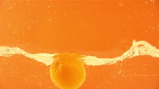 teljes és szerves narancs, amely vízben folyik  - Felvétel, videó