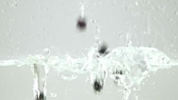 borówki amerykańskie wpadające do czystej wody na białym - Materiał filmowy, wideo