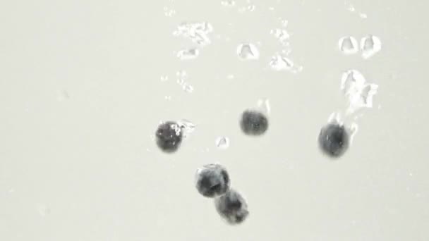 bleuets coulant dans l'eau avec glaçons congelés sur blanc - Séquence, vidéo