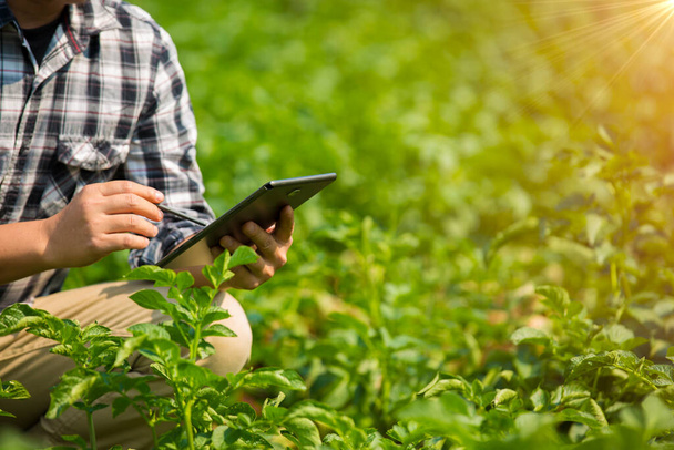 Dłonie rolnika, Rolnictwo technologii rolnik za pomocą tabletu Nowoczesna technologia koncepcja rolnictwa. - Zdjęcie, obraz