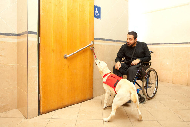 Человек в инвалидном кресле с помощью дрессированной собаки в туалете супермаркета - Фото, изображение