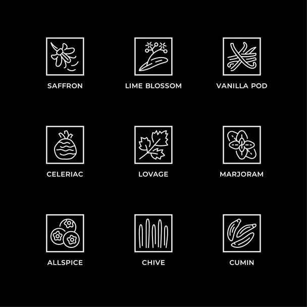 Векторний набір елементів дизайну, шаблон дизайну логотипу, значки і значки для трав і рослин. Набір піктограм рядка, змінений хід
. - Вектор, зображення
