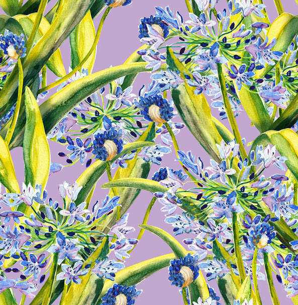 Agapanthus seamless pattern - Фото, зображення