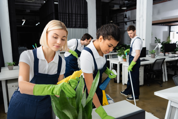 Multiethnic cleaners cleaning plant and table in office  - Photo, image