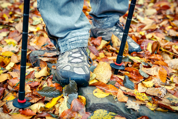 Closeup of tracking shoes and poles on autumn leaves. - Photo, Image