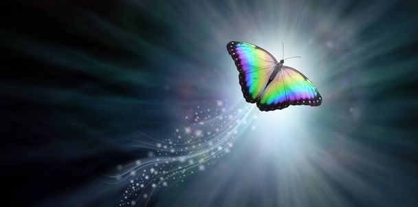 Όμορφη Πεταλούδα που διασχίζει το φως - σκούρο μπλε γκρι φόντο με ένα ουράνιο τόξο χρώματος πεταλούδα και ένα ίχνος της λάμψης που φέρουν στο φως απεικονίζει την απελευθέρωση της ψυχής                                - Φωτογραφία, εικόνα