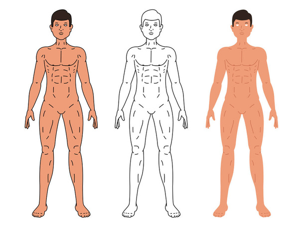 Beyaz arkaplanda izole edilmiş erkek vücut vektörü çizimi. - Vektör, Görsel