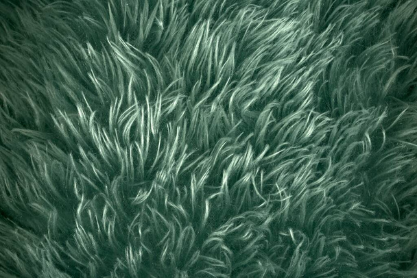 Azure green furry texture backdrop close up. Texture of wool skin. Abstract animal navy blue fur background. Fluffy pattern for design. Fabric copy space colored background - Photo, Image