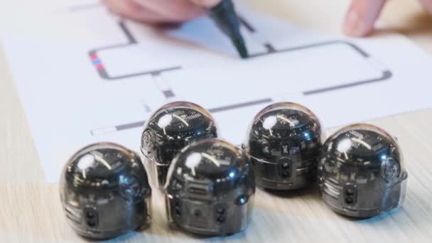 Close up of a five ozobot, man draw the diagram for the movement of the robots. - Footage, Video