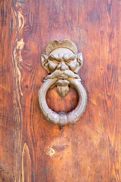 starożytne drzwi Knoker z lwem - Zdjęcie, obraz