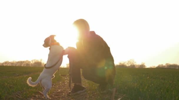 woman and dog are play the countryside road at sunset - Footage, Video