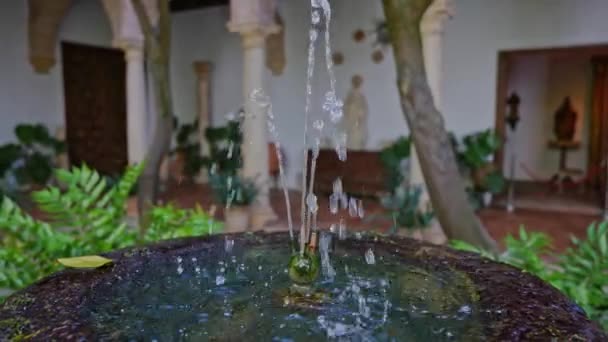 Sehr frühlingshafte Szene in Andalusien mit Blumen, typischen Innenhöfen von Cordoba, Wasserfontänen, viel Sonnenschein, sehr schöne und fröhliche Szene, aufgenommen in Zeitlupe bei 60 fps und 4K. - Filmmaterial, Video