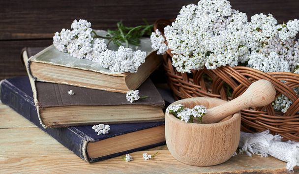 Yarrow wild field herb on old books with fresh milfoil flowers and mortar nearby on rustic table on wooden background, closeup, copy space, alternative medicine and naturopathy concept - Foto, Imagen