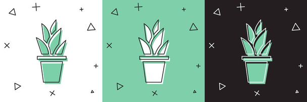 Set Planta en maceta icono aislado sobre fondo blanco y verde, negro. Planta creciendo en una maceta. Signo de planta en maceta. Ilustración vectorial. - Vector, imagen