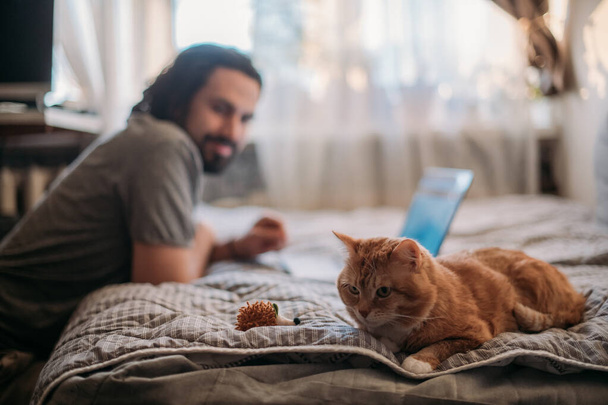 Il gatto giace sul divano, un uomo lavora su un computer portatile. Un ragazzo in quarantena sta lavorando a casa, con un gatto rosso nelle vicinanze. Lavoro a distanza, lavoro da casa. - Foto, immagini