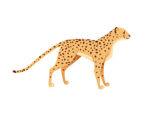Cheetah grande gato selvagem africano savana predador animal desenho animado personagem vetor ilustração no fundo branco - Vetor, Imagem