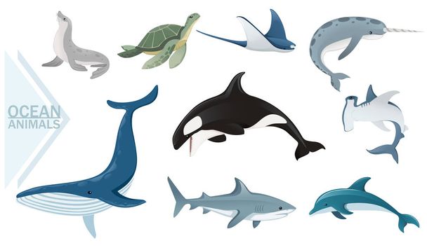 Okyanus hayvanları, köpek balıkları, balina kaplumbağalar ve kürk fokları, su altı hayvanları, beyaz arka planda vektör çizimleri. - Vektör, Görsel