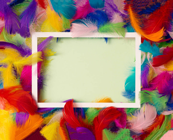 A rectangle white frame with a pastel green copy space in the center with colorful feathers in background. Flat lay. - Foto, afbeelding