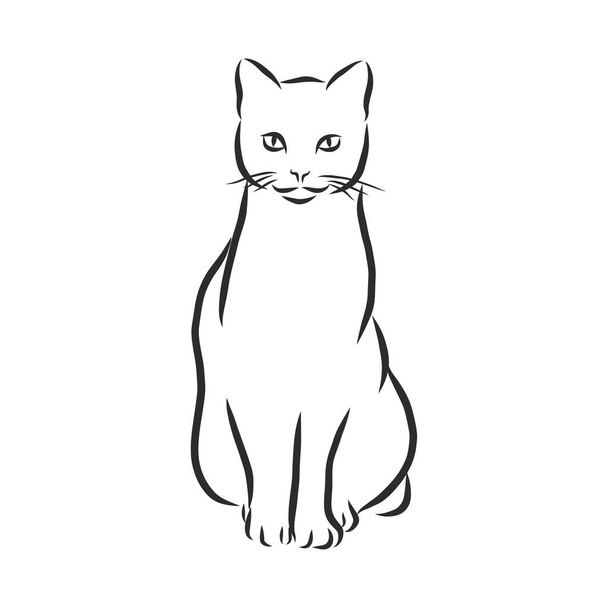 Gatos, líneas negras. Diseño lineal. Gatos, vector illustration.cat - Vector, Imagen