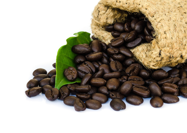 Grains de café. - Photo, image