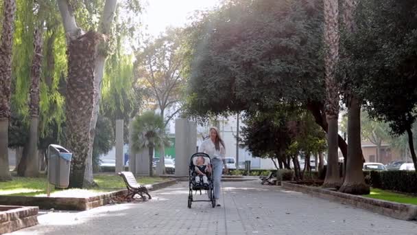 Video de la madre de la familia caminando al aire libre y cuidador ayudando a mirar al niño discapacitado sentado en momentos de silla de ruedas. Concepto de atención a la discapacidad - Metraje, vídeo