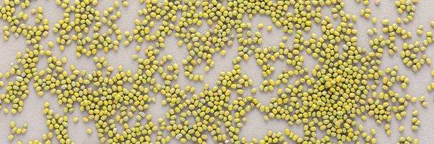 Legumes are scattered in the background, natural banner of mung beans , top view - Photo, Image