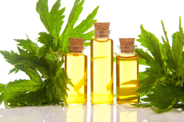 motherwort essential oil in a beautiful bottle on the  White background - Photo, Image