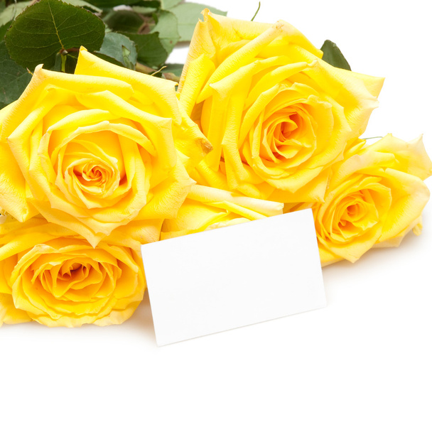 Roses with empty card - Photo, Image