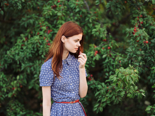 Portret romantycznej kobiety w niebieskiej sukience w pobliżu zielonych krzewów z czerwonymi jagodami - Zdjęcie, obraz