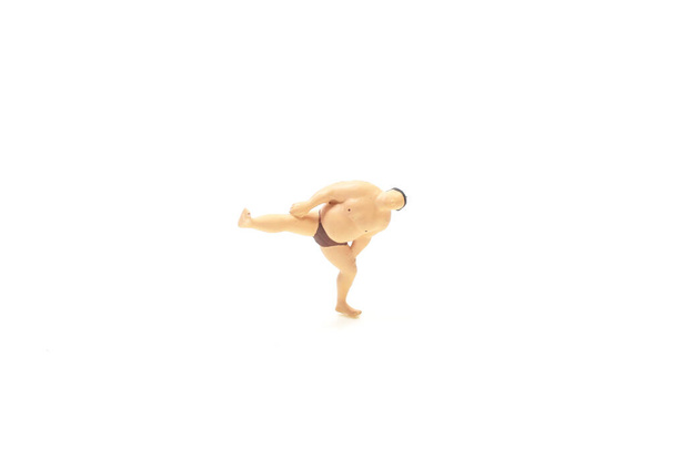 the figure of mini Sumo Wrestler Challenge - Photo, Image