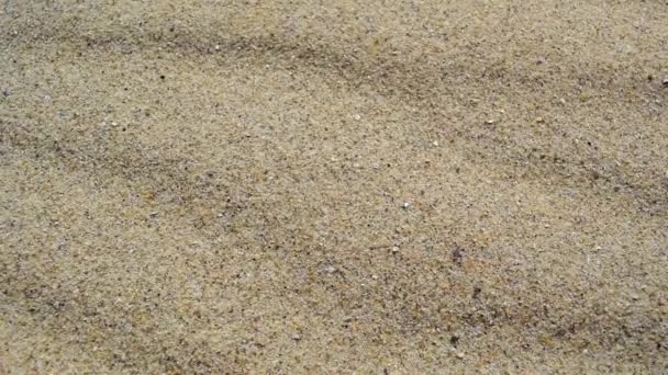 Os grãos de movimento de praia fina natural areia seca no close-up do vento. Fundo arenoso. Conceito de tempo e ambiente. Espaço de cópia. - Filmagem, Vídeo