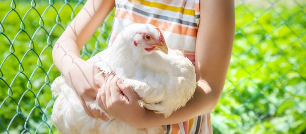 Een kind op een boerderij met een kip. Selectieve focus. - Foto, afbeelding