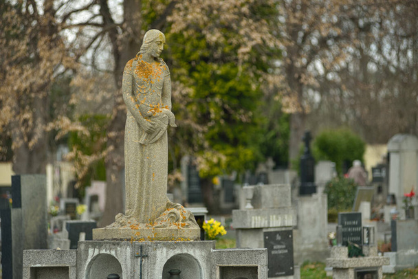 Cimitero con lapidi a forma di croce, angeli. Molte tombe decorate - Foto, immagini