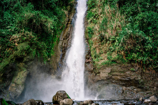 Вода водоспаду впадає в річку посеред тропічного лісу Турріальба, Коста-Рика - Фото, зображення