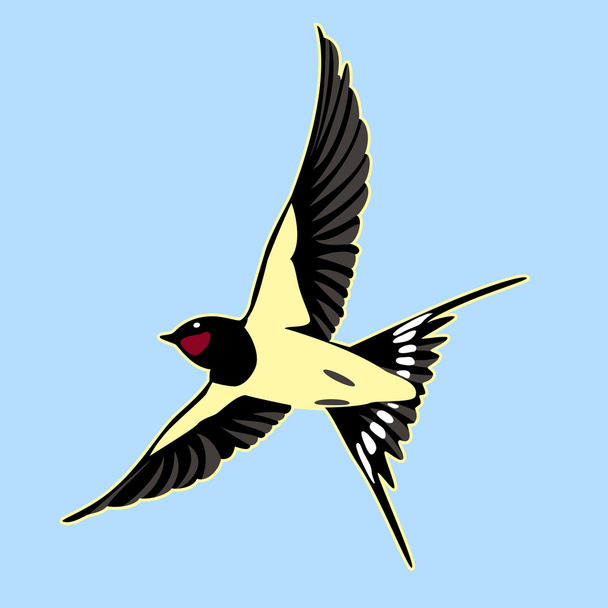 Barn Swallow - Vector, Image