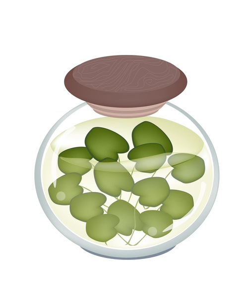 ένα βάζο τουρσί κοινή φυτό frogbit - Διάνυσμα, εικόνα