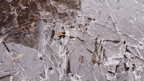 Σπασμένος πάγος σε μια λακκούβα. ανοιξιάτικη - Πλάνα, βίντεο