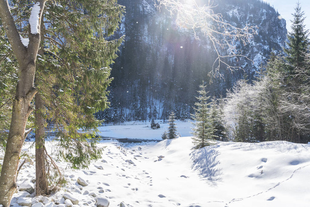 Winter in Tatra Mountains. Beautiful landscape of snowy forest. Sunny frosty day - Photo, Image
