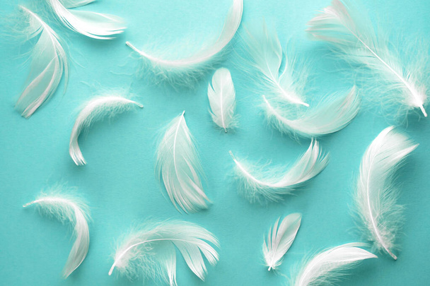 Delicadas plumas esponjosas sobre un fondo azul pastel. Ternura fondo de pantalla suave - Foto, Imagen