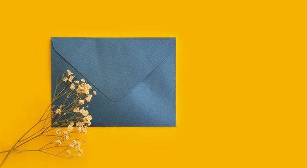 envelop bloem van gypsophila op gekleurde achtergrond - Foto, afbeelding