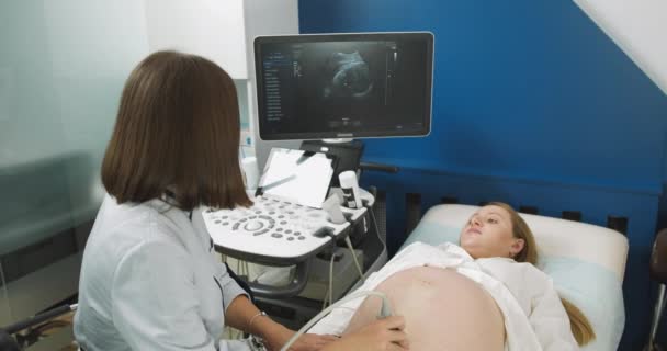Mulher grávida recebendo ultra-som ultra-sonografia, enquanto jovem obstetrista médico concentrada explica o procedimento para ela. Apontando para a tela, mostrando a imagem ultra-sônica do bebê. - Filmagem, Vídeo